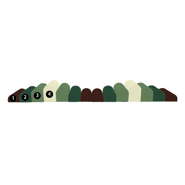 custom / 14 pieces
